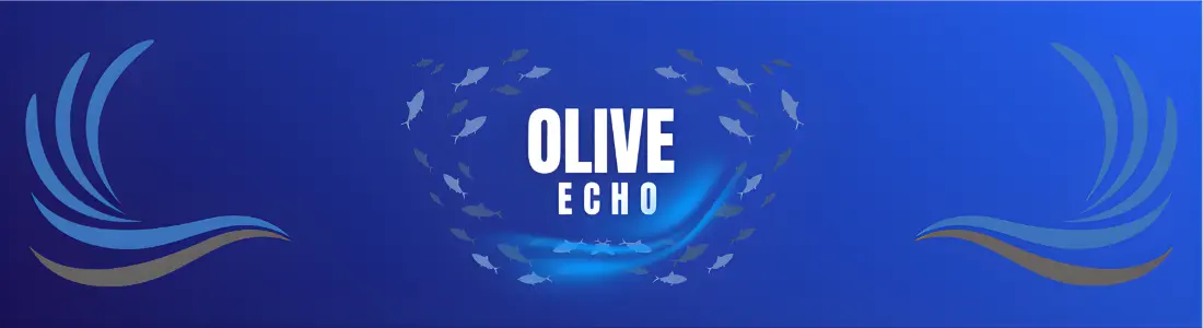 Banner for OliveEcho